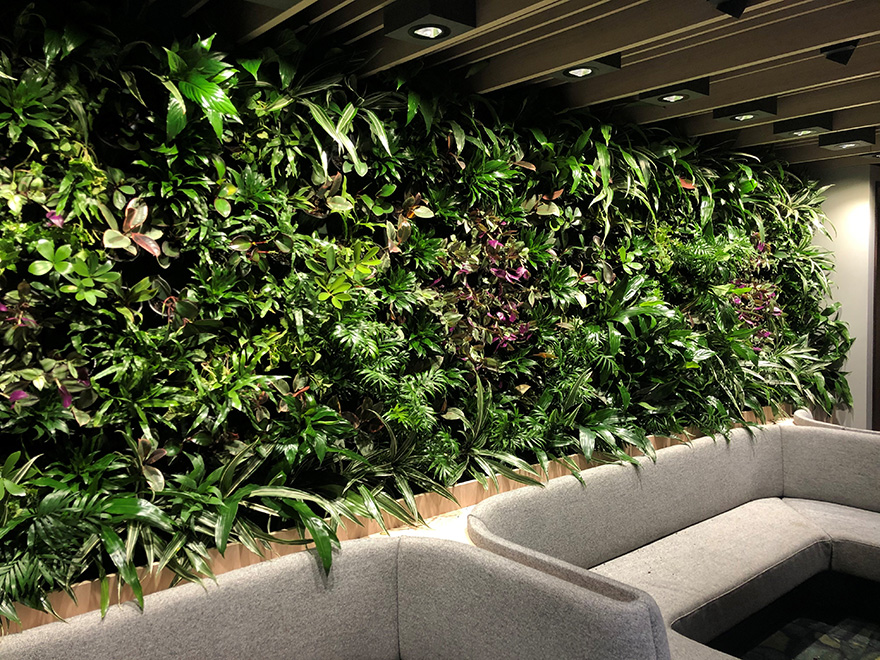 Indoor Plant Hire Sydney | Vertical Gardens & Office Plants Sydney